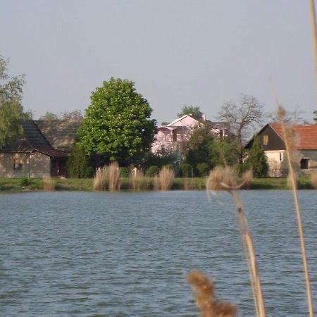 Vila Madams - Palic-Serbia Zewnętrze zdjęcie