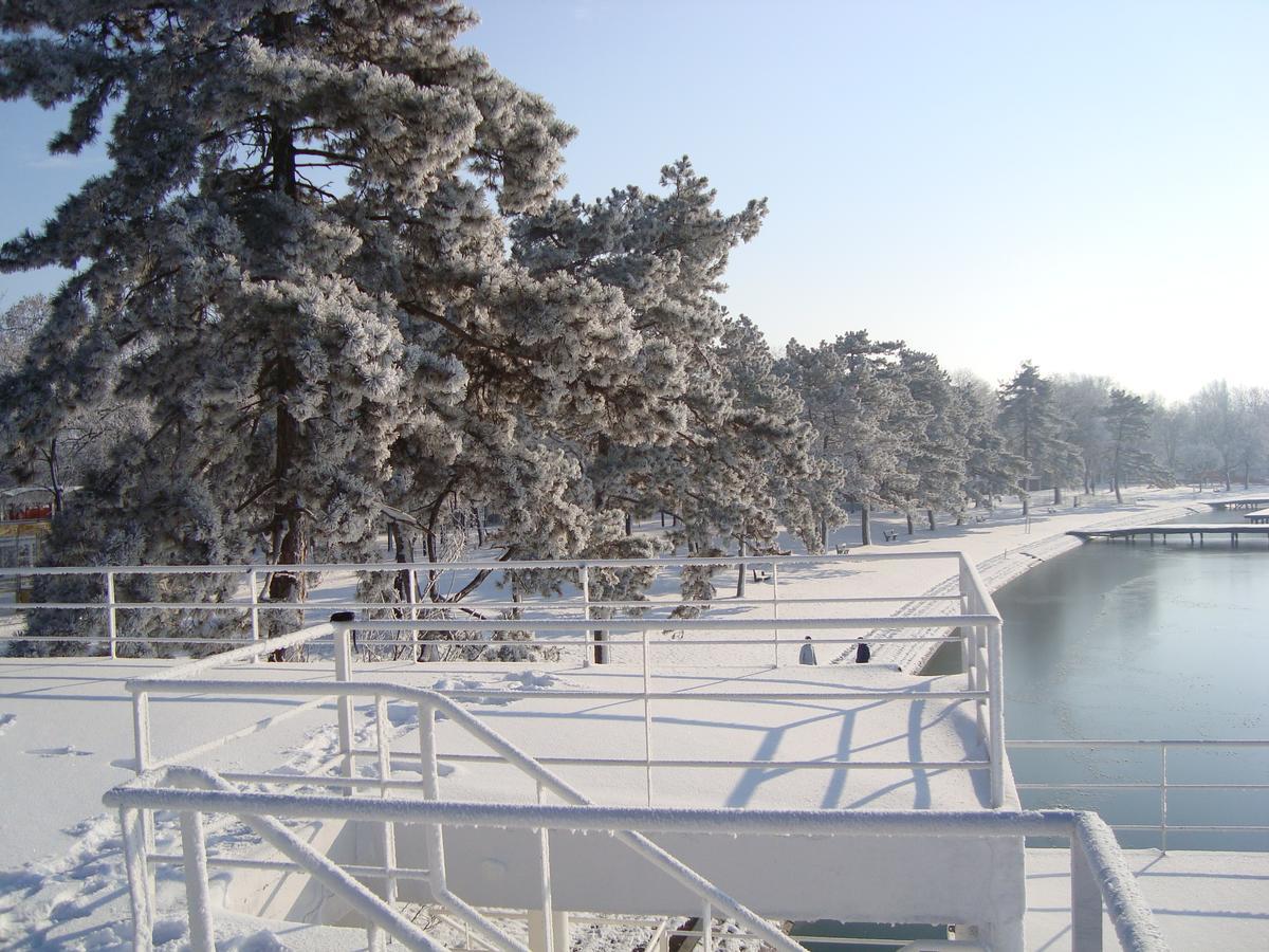 Vila Madams - Palic-Serbia Zewnętrze zdjęcie