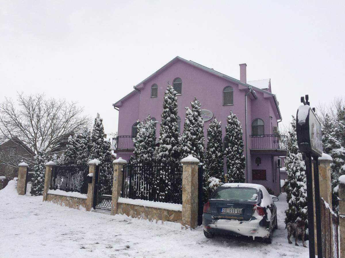 Vila Madams - Palic-Serbia Zewnętrze zdjęcie