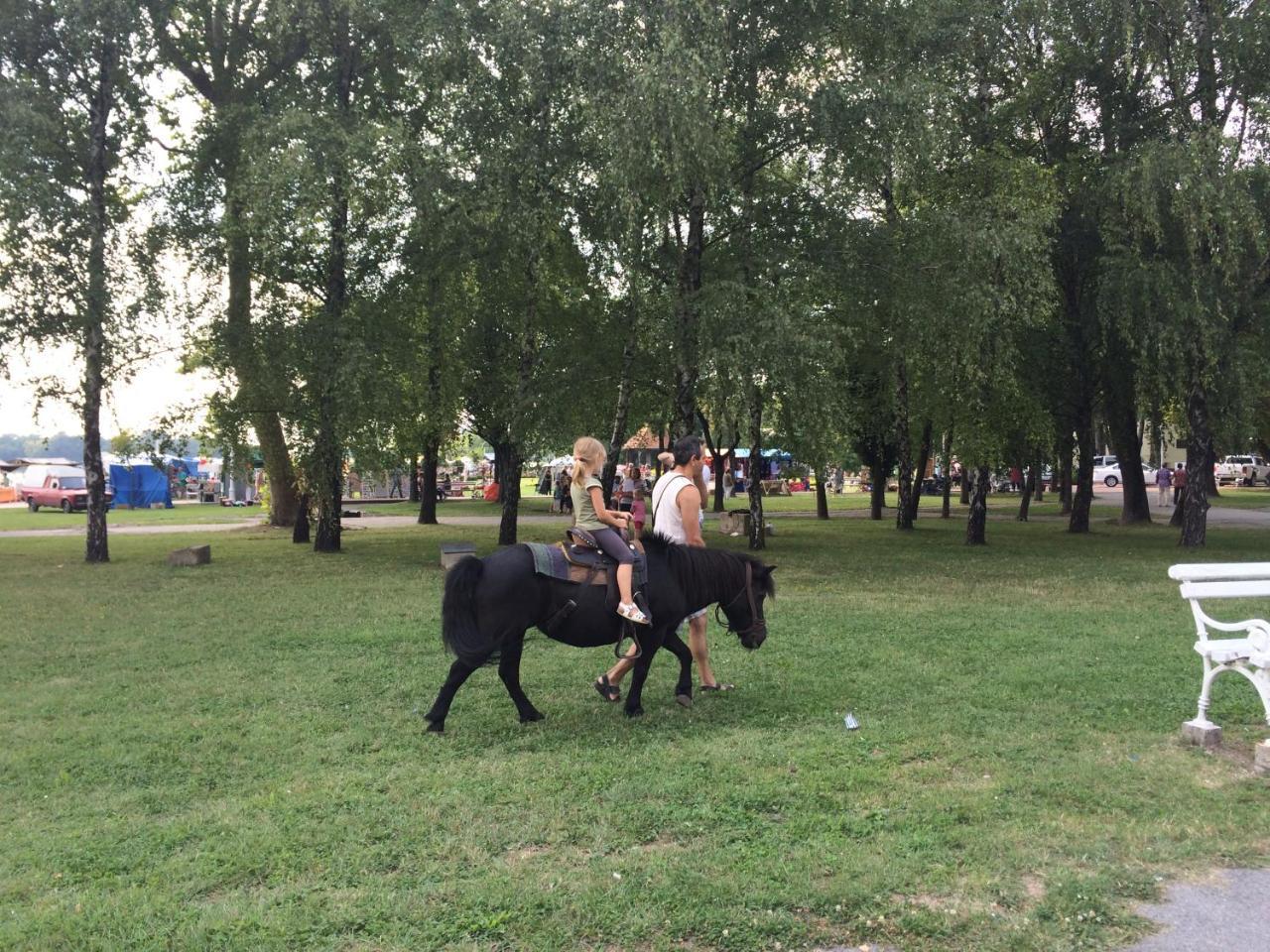 Vila Madams - Palic-Serbia Zewnętrze zdjęcie